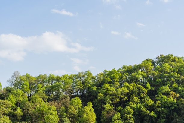 尼泊尔的群山，覆盖着丛林。在明亮的夏日热带雨林景观。参考图像的CG绘图，哑光绘画。股票的照片。图片下载