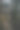美丽的日落在森林。图片下载