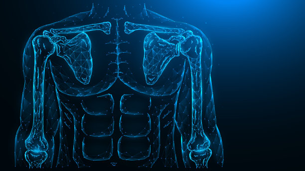 人体解剖模型，肩膀和肘关节的观点，从前面的多边形插图上的蓝色背景。图片下载