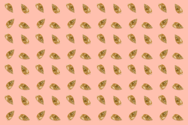 设计模式与金色罗勒叶在一个柔和的粉红色背景图片下载