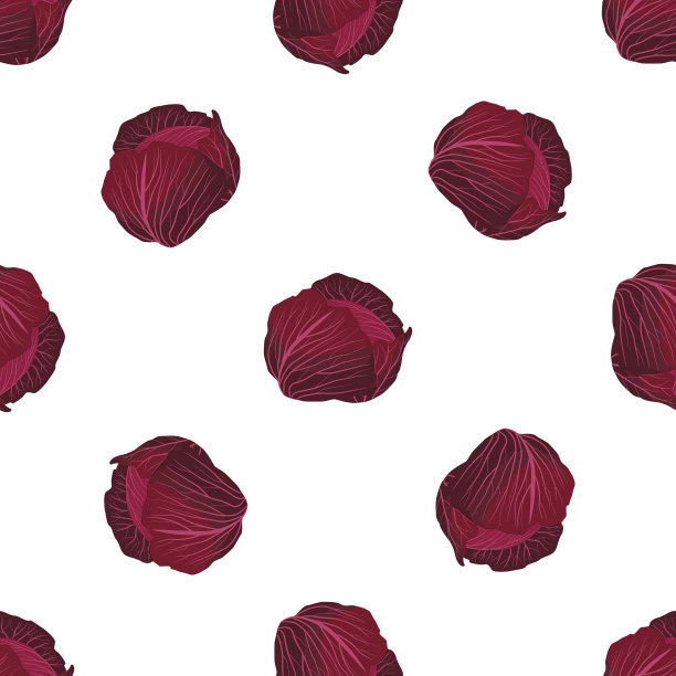 主题上鲜艳的图案圆白菜图片下载