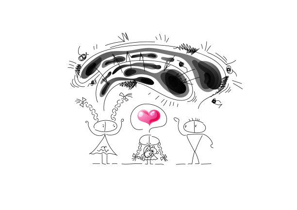 丈夫和妻子在吵架。在他们之间，小女儿还是爱他们的。泰迪熊。图片下载