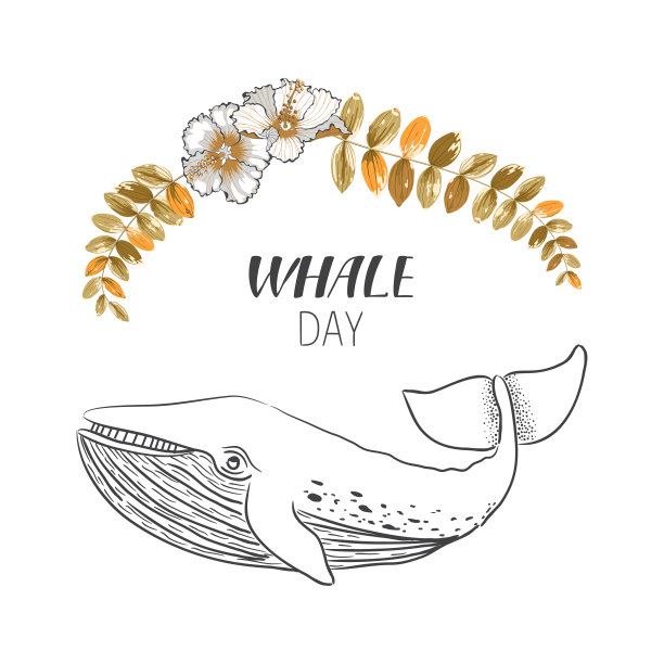 绘有花和叶的鲸鱼。矢量插图在线条艺术风格。图片下载