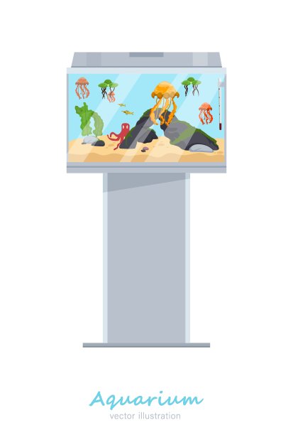 美丽的垂直鱼缸形象图片下载