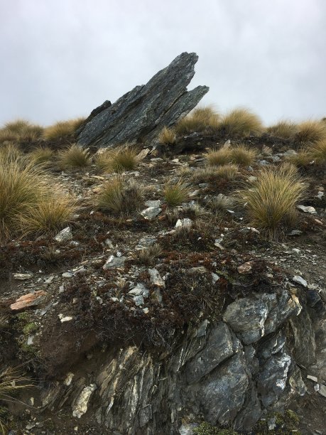 骄傲的岩石-颈部徒步瓦纳卡图片下载