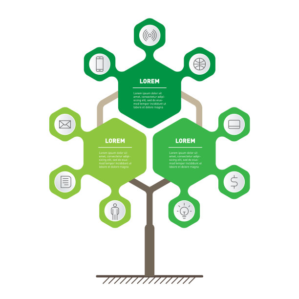 信息图教育过程分为三个部分图片下载