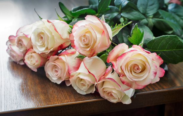 一束淡绿色背景的玫瑰。图片下载