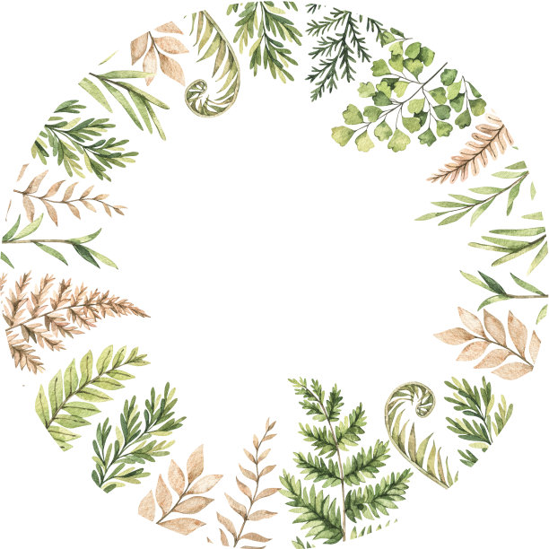 植物水彩画框架与绿色的叶子，蕨类，草本和树枝。水彩插图。花卉邀请设计。完美的婚礼邀请函，贺卡，博客，海报，标志图片下载