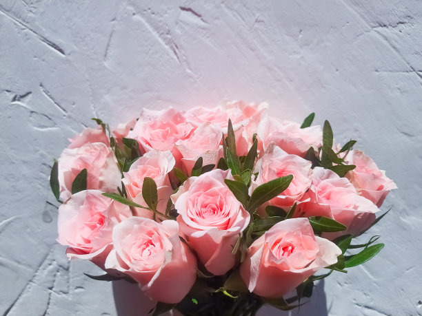 新娘的一束新鲜玫瑰。婚礼花。祝您母亲节快乐。美丽的玫瑰孤立在白色。本空间图片下载