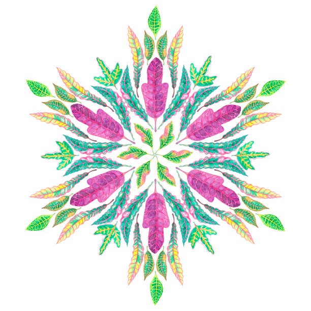 巴豆叶水彩画曼荼罗圆形图案，几何圈元素插图在东方设计花边叶花卉艺术品隔离在白色背景和剪切路径图片下载