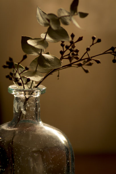 干绿叶花瓶图片下载