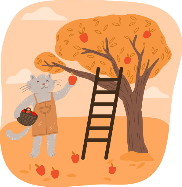 灰猫农夫正在采摘新鲜的红苹果放到篮子里图片下载