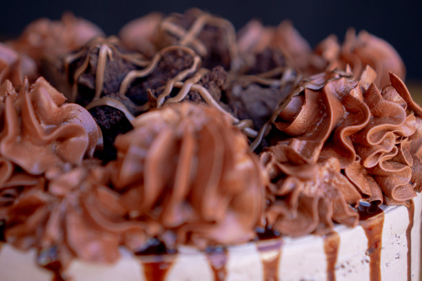 美味的巧克力蛋糕，上面装饰着巧克力奶油和布朗尼。图片下载