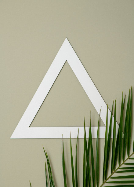 三角形框架和棕榈叶薄荷背景。图片下载