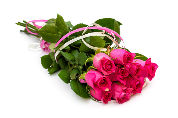 一束美丽的白玫瑰。图片下载