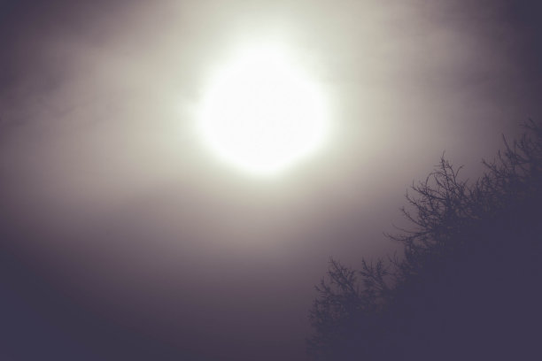 太阳穿过乌云，在一片黑暗的森林的背景下照耀着。图片下载