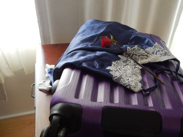 浪漫之旅图片下载