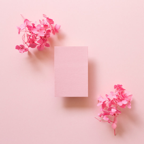 粉红色背景上有干的绣球花的空备忘录纸。平铺，俯视图，拷贝空间图片下载