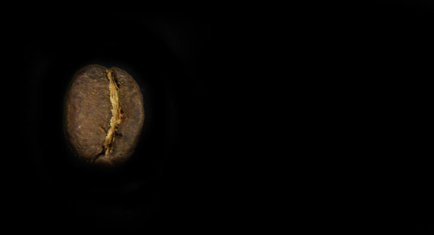 黑色背景上的一颗咖啡豆图片下载