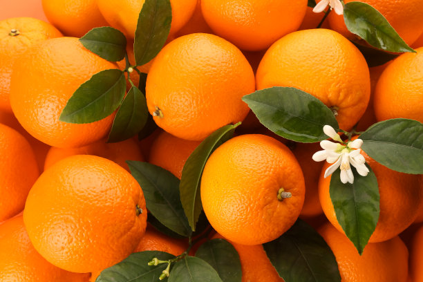 新鲜成熟的橙子与绿色的叶子和花为背景，俯视图图片下载