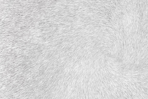 深灰色的牛皮毛纹理线条图案抽象为背景图片下载