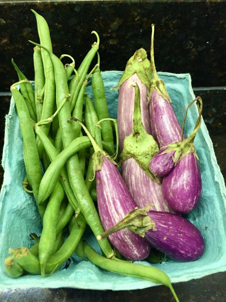 新鲜的自产蔬菜-青豆和嫩茄子图片下载