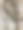 根绿色图片下载