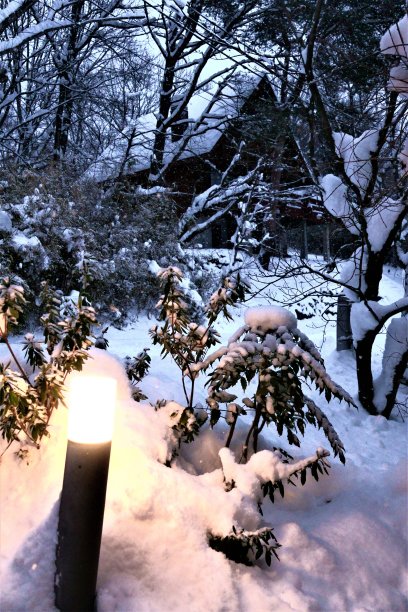 大自然的艺术品由雪制成图片下载