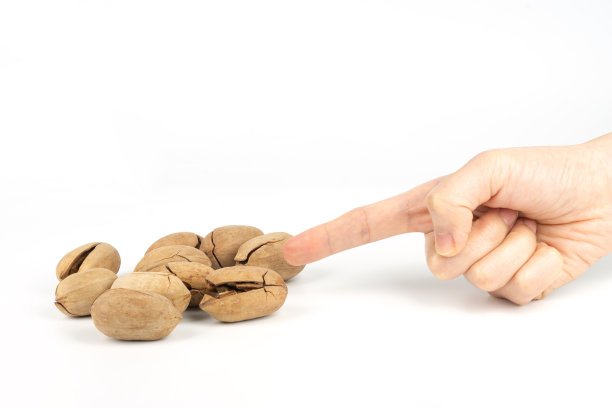 山核桃在白色的背景图片下载