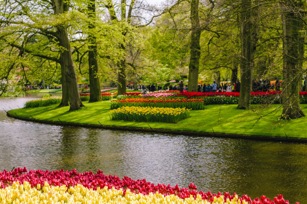 盛开的鲜花在春天的正式花园图片下载