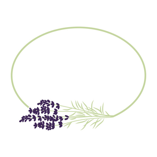 薰衣草图片下载