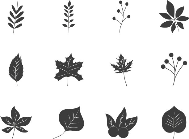 图标集枫叶和秋叶图片下载