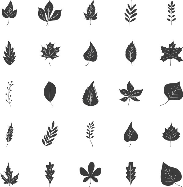 图标设置桦树和秋叶的剪影图片下载