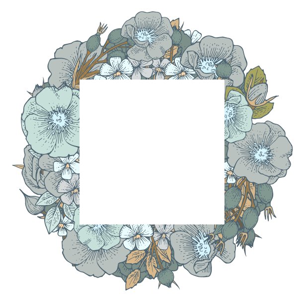 玫瑰果花。圆的框架。背景说明。手绘轮廓。园林植物的开花抽象工厂图片。向量图片下载