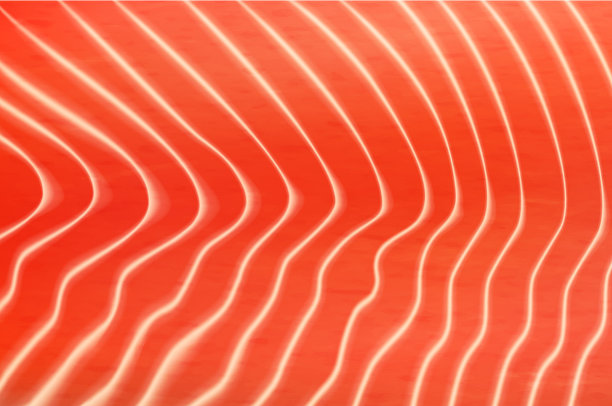 鲑鱼或鳟鱼肉纹理壁纸图片下载