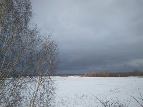 白色的雪在冬天多云的天气在西伯利亚的森林里图片下载
