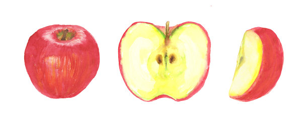 用水彩画的苹果的插图图片下载