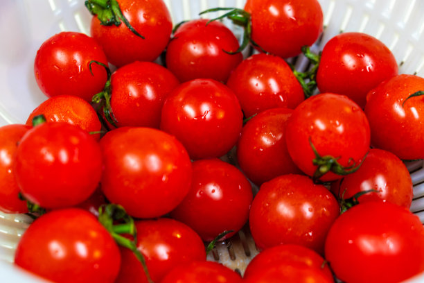 鲜嫩的樱桃番茄，色泽鲜红图片下载