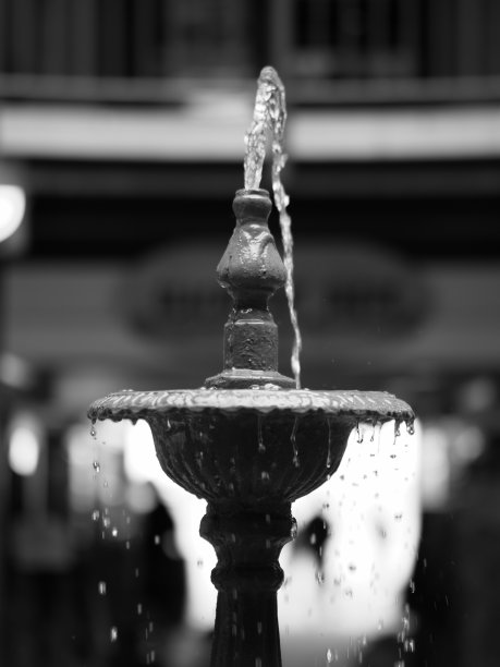 喷水池喷水的单色图像。图片下载