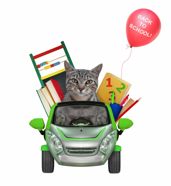 猫格雷开车去学校图片下载