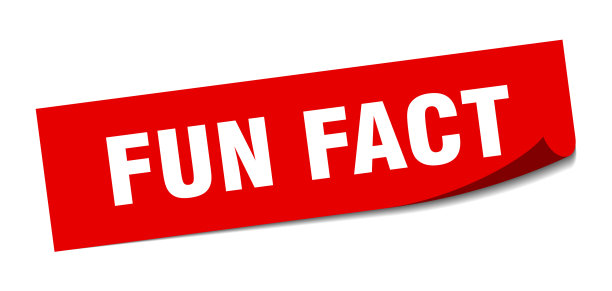 有趣的事实贴纸方块孤立标签标志剥皮器图片下载