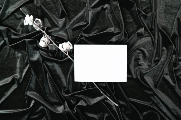 黑色和白色模板与白色卡片模型和干燥的棉花分支在波浪织物的背景。假日抽象的背景图片下载