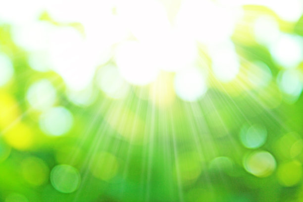 阳光和春天的绿色背景。图片下载