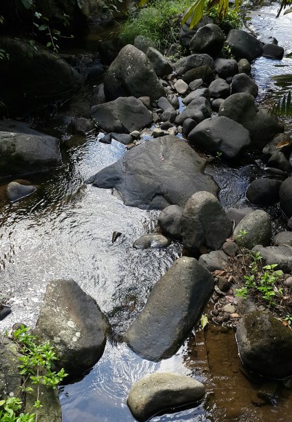 在中爪哇梅隆村的旱季里，卡里曼吉斯河图片下载