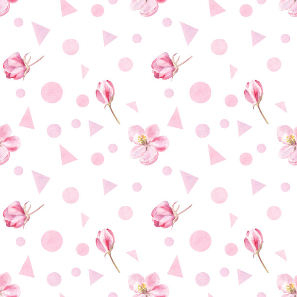 苹果花和几何形状的图案在白色的背景。优雅的弹簧的设计。图片下载