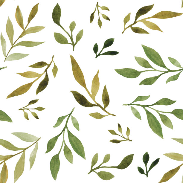水彩无缝图案与绿色和干燥的叶子。夏天,春天。插图画的图片图片下载