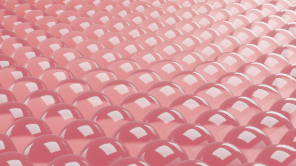 皮肤细胞的皮肤层。图片下载