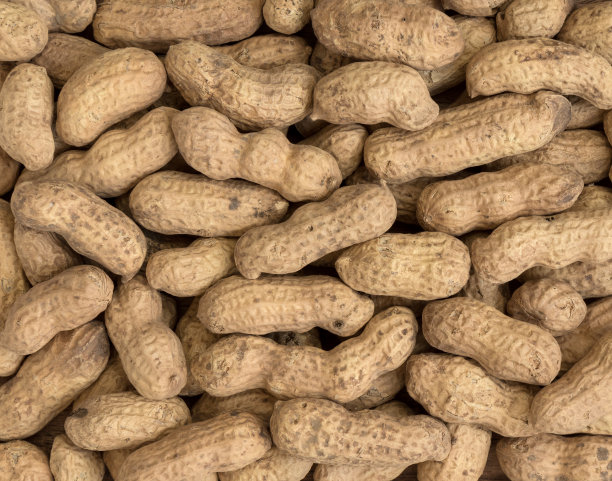 花生种子。许多带壳的花生。花生的背景图片下载