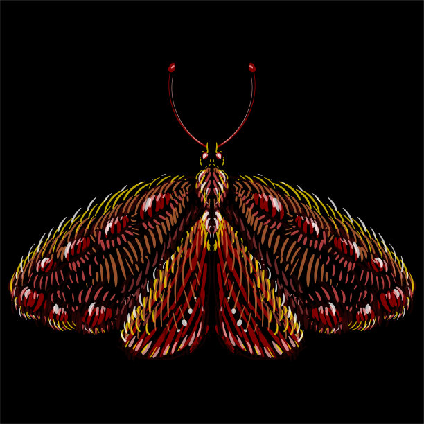 矢量标志蝴蝶纹身或t恤设计或外衣。可爱的印花风格的蝴蝶背景。这幅画是为黑色织物或帆布绘制的。图片下载