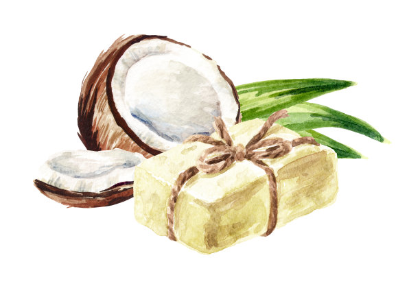 天然椰子油手工香皂。水彩手绘插图，孤立的白色背景图片下载